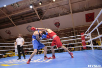 Финал турнира по боксу "Гран-при Тулы", Фото: 94