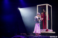 Шоу фонтанов «13 месяцев»: успей увидеть уникальную программу в Тульском цирке, Фото: 182