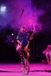 В Тульском цирке прошла премьера аква-шоу, Фото: 43