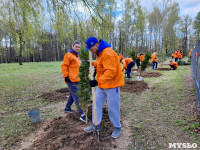 ЕВРАЗ посадил в Пролетарском парке 100 деревьев, Фото: 25
