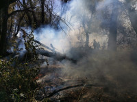 100 туляков тушат лесные пожары под Воронежем, Фото: 9