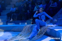 Цирковое шоу Жар птица, Фото: 53