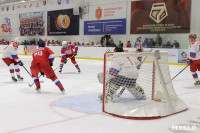 В Туле состоялся хоккейный матч в поддержку российских олимпийцев, Фото: 26