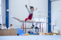 Всероссийские соревнования по спортивной гимнастике, Фото: 27