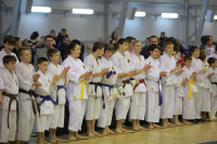Соревнования на Кубок Тульской области по каратэ версии WKU. 29 декабря 2013, Фото: 6