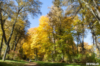 Золотая осень в Ясной Поляне, Фото: 28