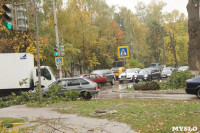 Кронирование тополей на ул. Калинина, Фото: 5