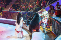 Шоу Гии Эрадзе «5 континентов» в Тульском цирке: феерия уже началась!, Фото: 44