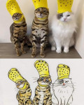 , Фото: 3