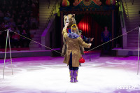 Цирковое шоу Жар птица, Фото: 90