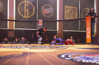 Турнир по ММА памяти Алексея Калинина собрал лучших бойцов страны: фоторепортаж, Фото: 173