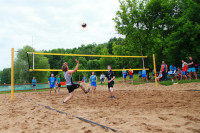 Пляжный волейбол в парке, Фото: 38