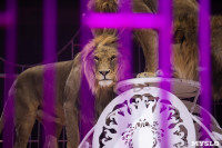 Шоу фонтанов «13 месяцев»: успей увидеть уникальную программу в Тульском цирке, Фото: 197