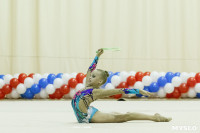 Художественная гимнастика. «Осенний вальс-2015»., Фото: 28