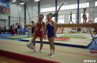 В Туле проверили ближайший резерв российской гимнастики, Фото: 1