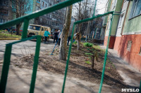Посадка деревьев во дворе на ул. Максимовского, 23, Фото: 13