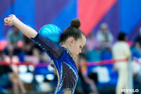 Тула провела крупный турнир по художественной гимнастике, Фото: 170