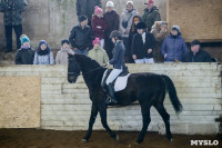 Открытый любительский турнир по конному спорту., Фото: 26