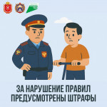 Правила пользования элетросамокатами и другими СИМ , Фото: 15