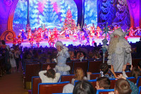 Почти 200 детей из Тульской области побывали на новогоднем представлении в Москве, Фото: 22