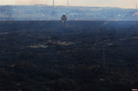 Сразу в нескольких районах Тульской области загорелись поля, Фото: 10