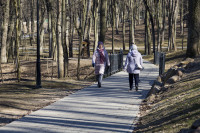 Солнечный день в Белоусовском парке, Фото: 28