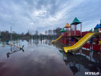 В Туле затопило Баташевский сад, Фото: 7