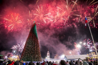 Открытие новогодней ёлки на площади Ленина, Фото: 42