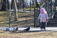 Солнечный день в Белоусовском парке, Фото: 44