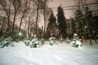 Вечерний снегопад, Фото: 22