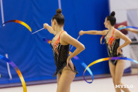 В Туле стартовало первенство Центрального федерального округа по художественной гимнастике, Фото: 82