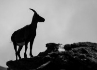 , Фото: 1
