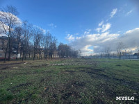 В сквере на улице Приупской вырубают тополя: в администрации рассказали, зачем, Фото: 8