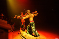 Шоу Гии Эрадзе «5 континентов» в Тульском цирке: феерия уже началась!, Фото: 28