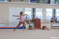 Тульские гимнастки готовятся к первенству России, Фото: 7