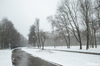 Мартовский снег в Туле, Фото: 4