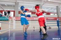В Тульской области проходит областное первенство по боксу, Фото: 85
