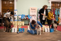 Выставка собак в ДК "Косогорец", Фото: 106