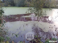 "Кровавая" вода в пруду в Михалково, Фото: 5