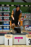 В Туле прошла выставка собак всех пород, Фото: 86