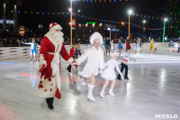Туляки отметили Старый Новый год ледовым шоу, Фото: 40