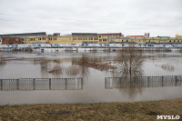 В Туле затопило Пролетарскую набережную, Фото: 39
