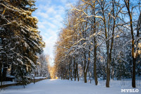 Снежное Поленово, Фото: 19