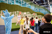 День добра в «Мисти парке»: игры, улыбки и море развлечений, Фото: 27