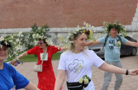 В Туле прошел фестиваль «Ромашковый хоровод», Фото: 3