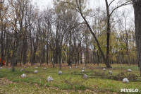 Высадка деревьев в Рогожинском парке, Фото: 16