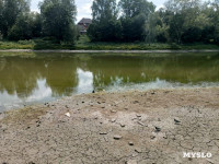 Пруд в Рогожинском парке продолжает мелеть - туляки, Фото: 1