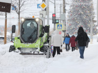 Тула в снежном плену: фоторепортаж с улиц города, Фото: 4