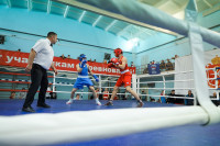 В Туле завершился межрегиональный турнир по боксу памяти Романа Жабарова, Фото: 20