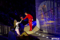 Шоу фонтанов «13 месяцев» в Тульском цирке – подарите себе и близким путевку в сказку!, Фото: 103